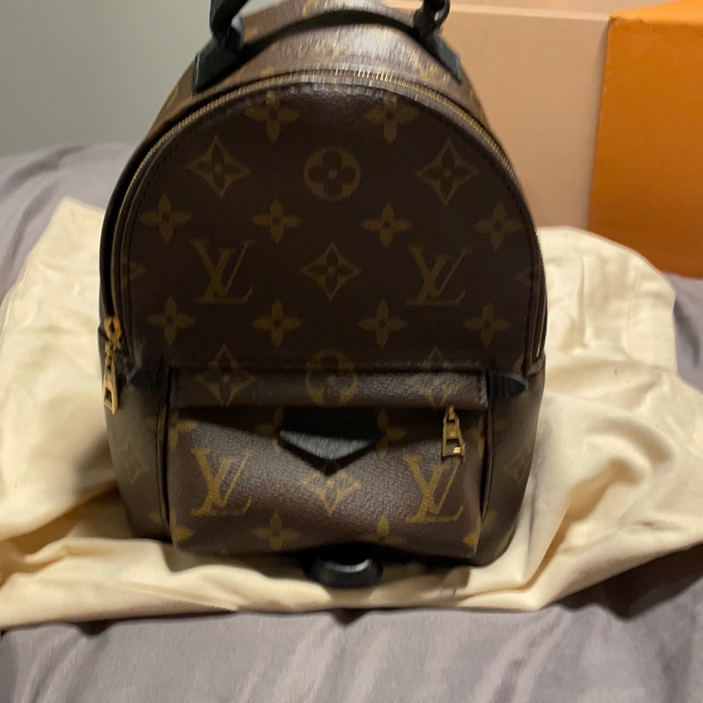 Louis Vuitton Palm Springs Mini backpack
